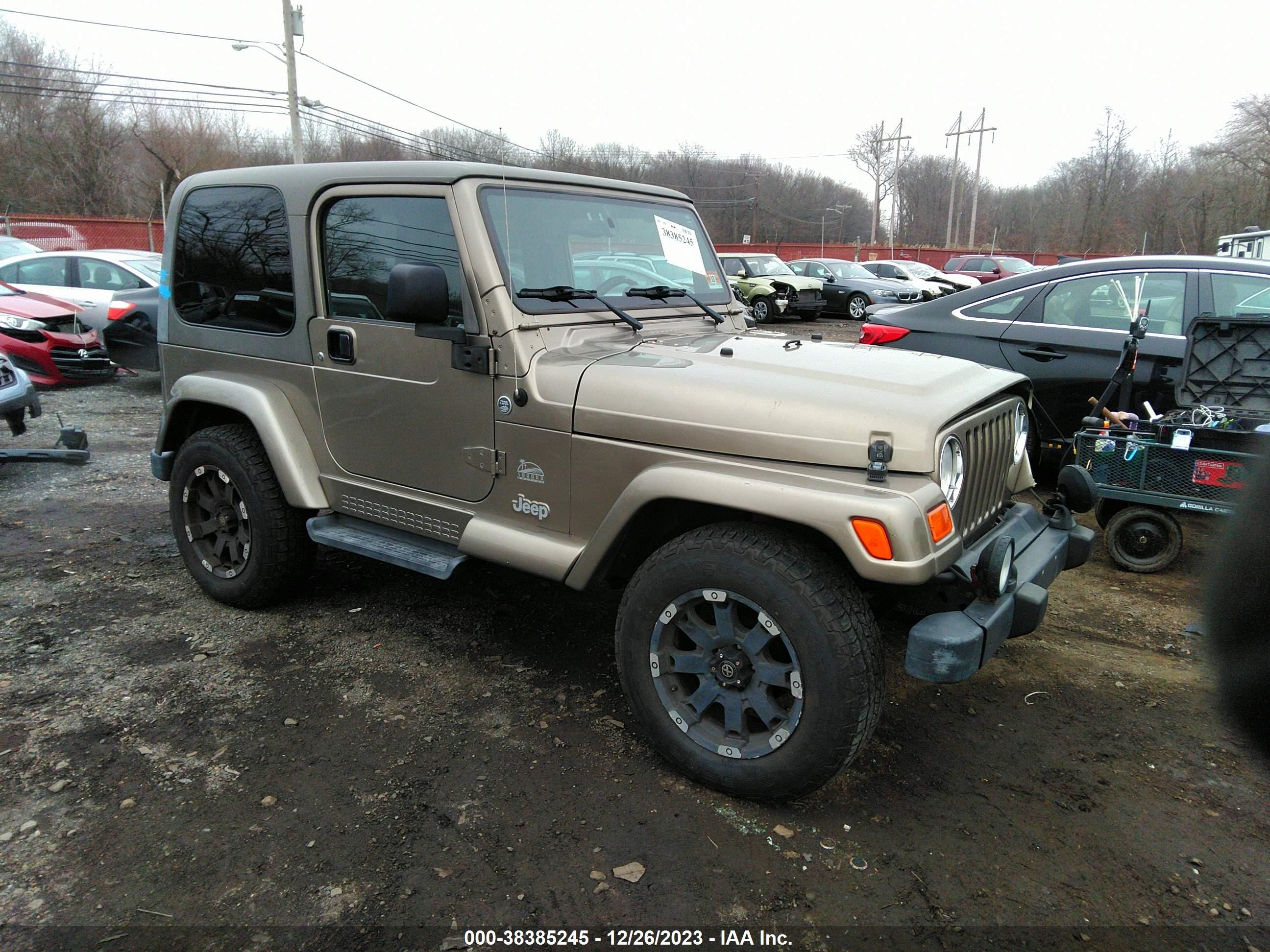 JEEP WRANGLER 2003 1j4fa59s53p333017