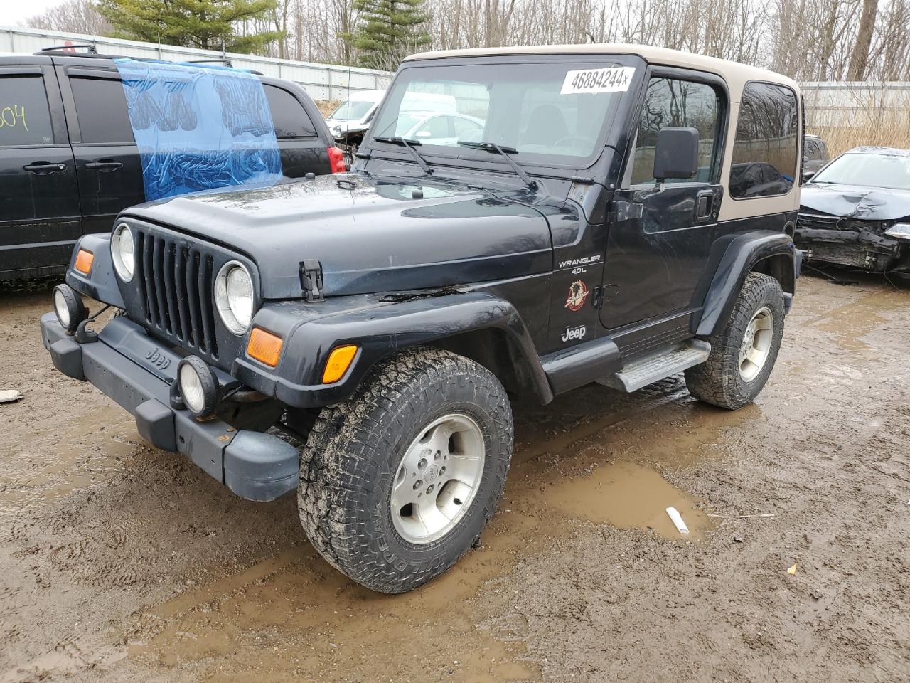 JEEP WRANGLER 2001 1j4fa59s71p312229