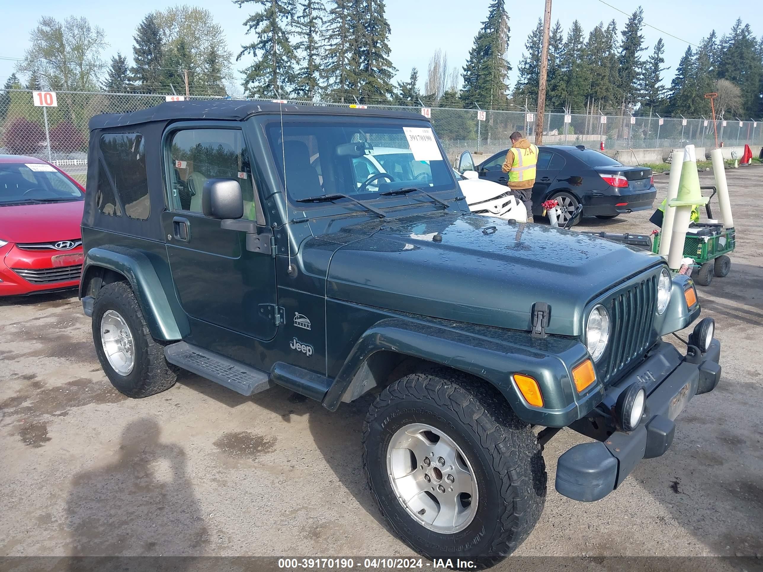 JEEP WRANGLER 2003 1j4fa59s93p377165