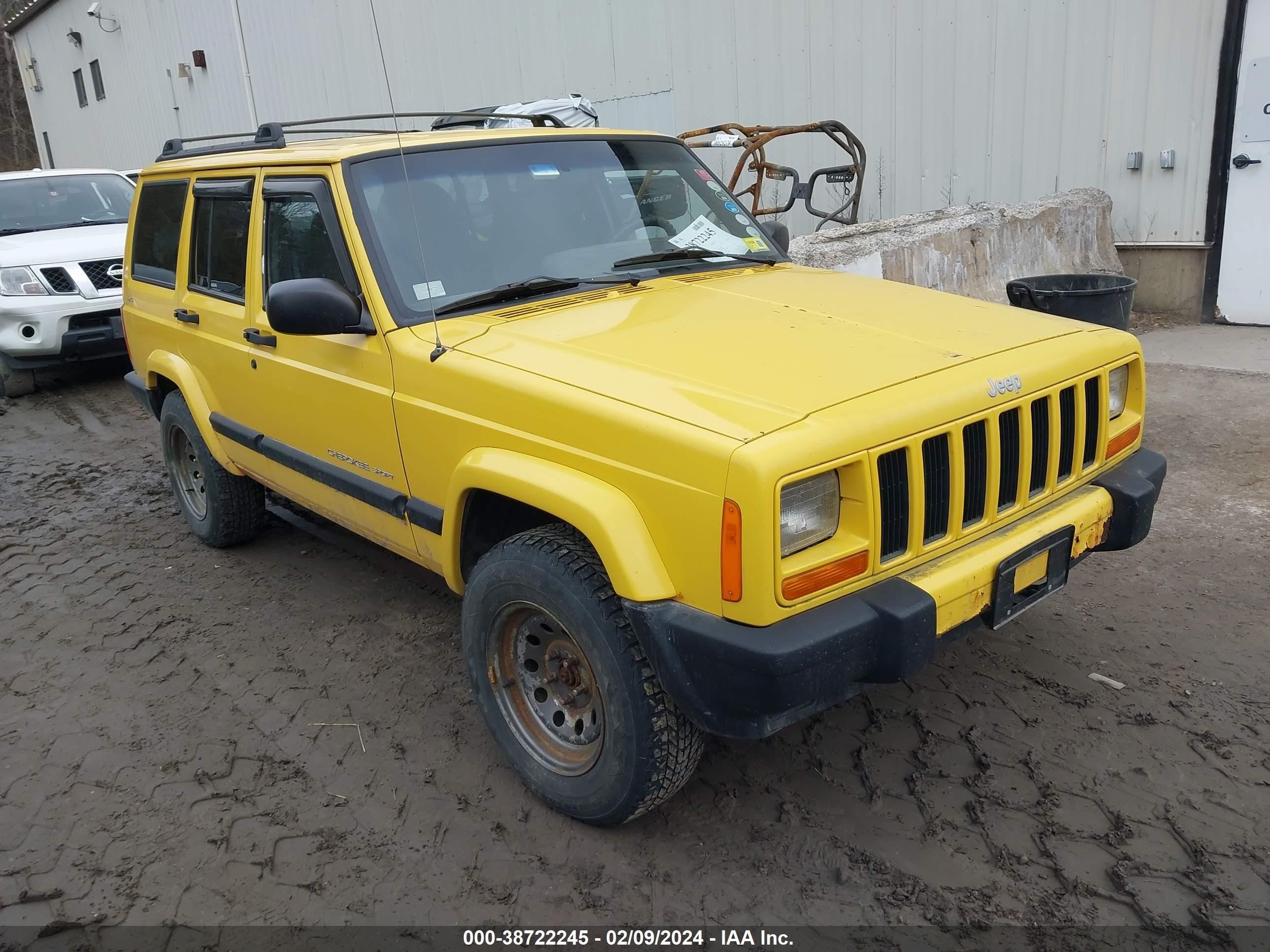 JEEP CHEROKEE 2001 1j4ff48s11l606326