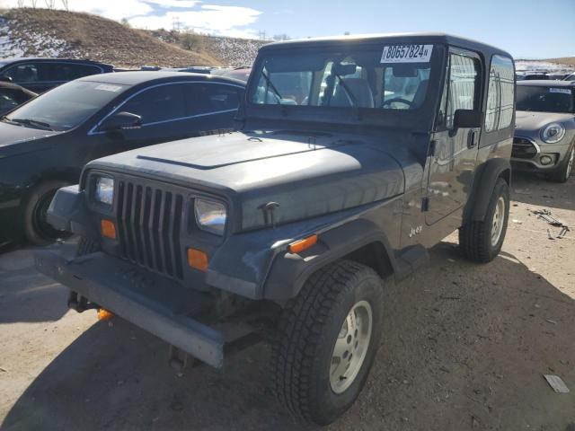 JEEP WRANGLER / 1993 1j4fy19p0pp263996