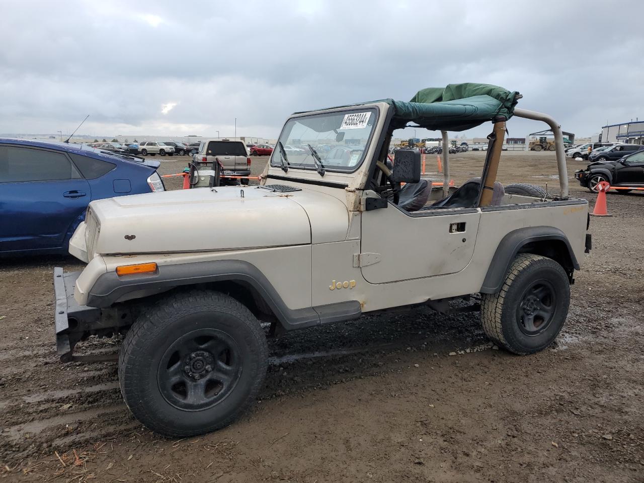 JEEP WRANGLER 1995 1j4fy19p1sp239036