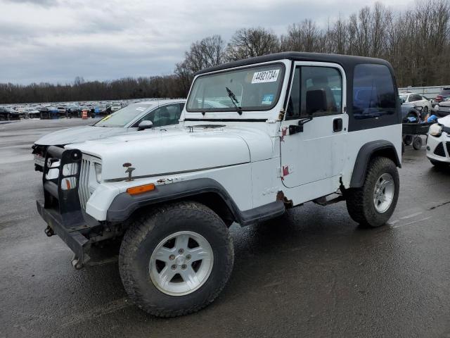 JEEP WRANGLER 1993 1j4fy19p6pp206721