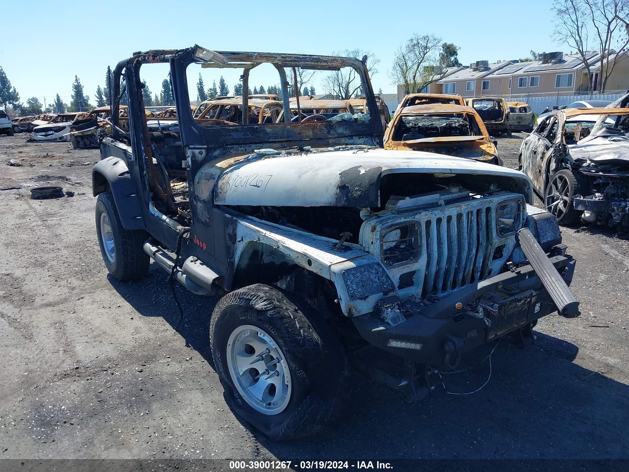 JEEP WRANGLER 1993 1j4fy19p8pp247786