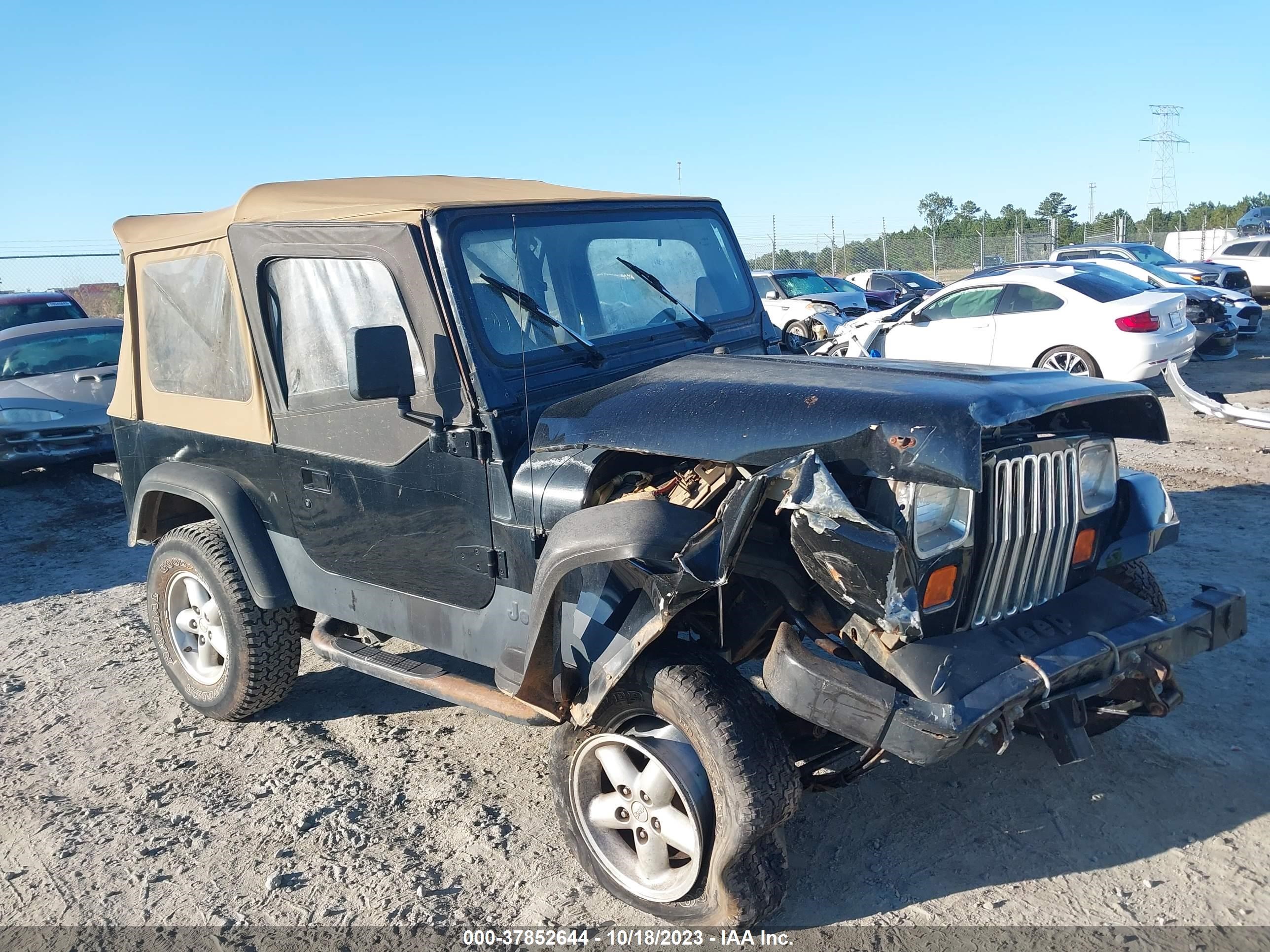 JEEP WRANGLER 1995 1j4fy19p8sp316050