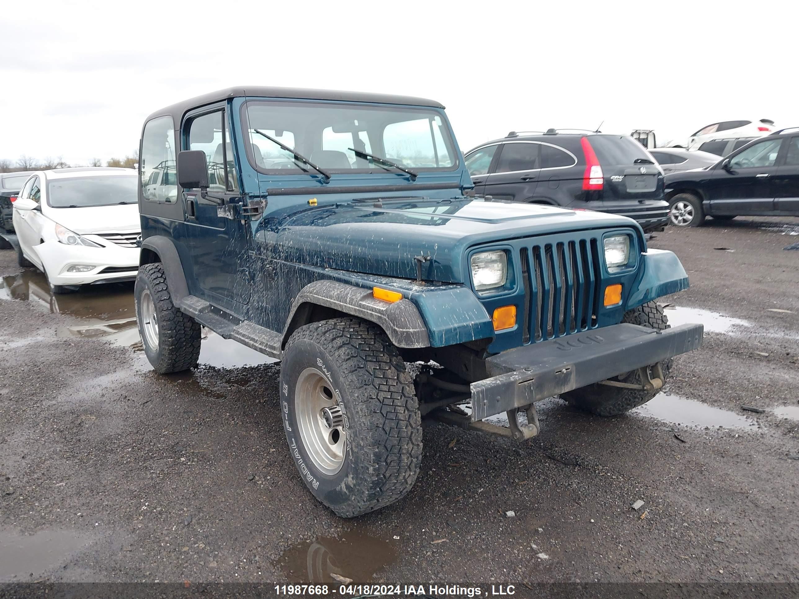 JEEP WRANGLER 1995 1j4fy19p9sp308622