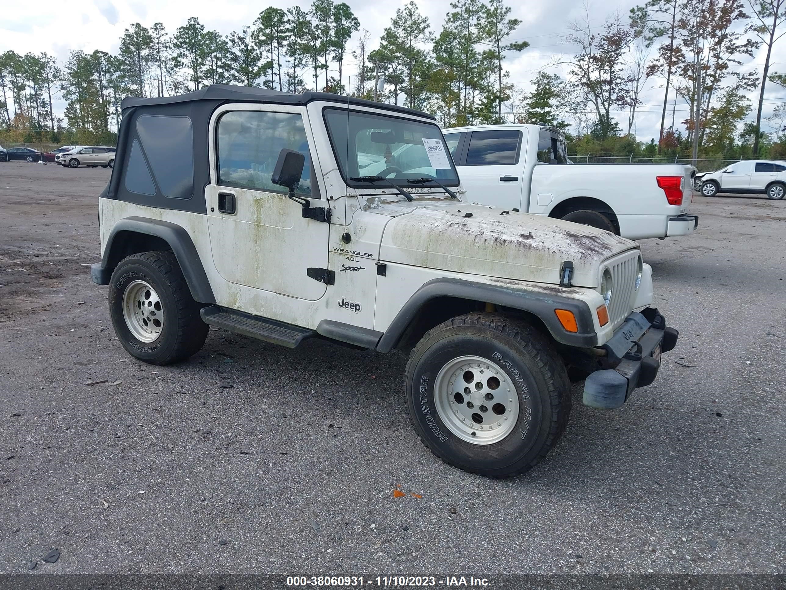 JEEP WRANGLER 1999 1j4fy19s6xp478884