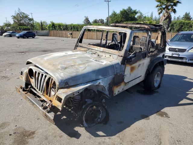 JEEP WRANGLER 1998 1j4fy19sxwp710787