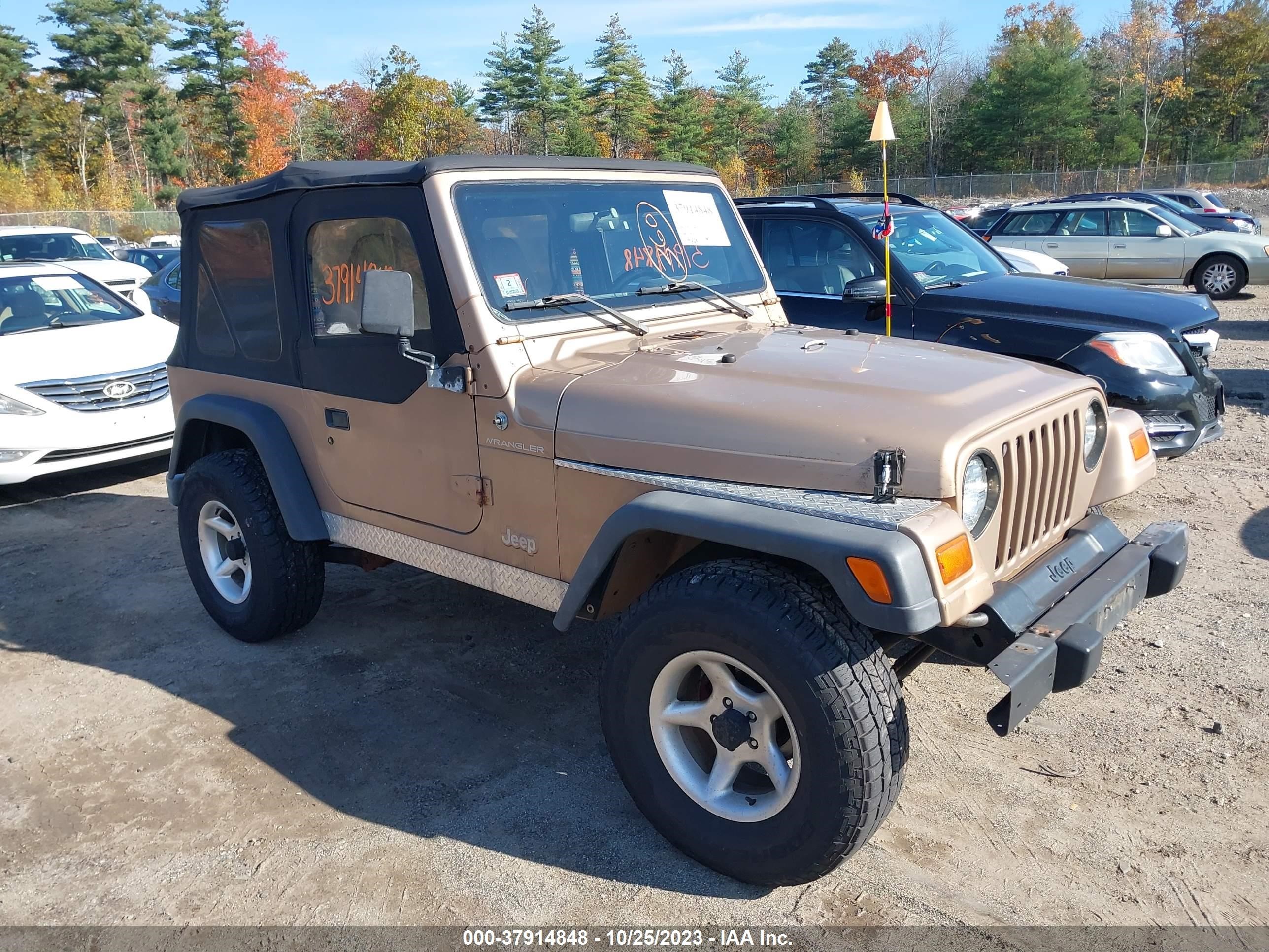 JEEP WRANGLER 1999 1j4fy29p3xp407353