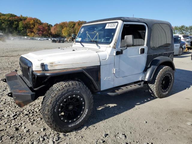 JEEP WRANGLER  1998 1j4fy29p7wp731274