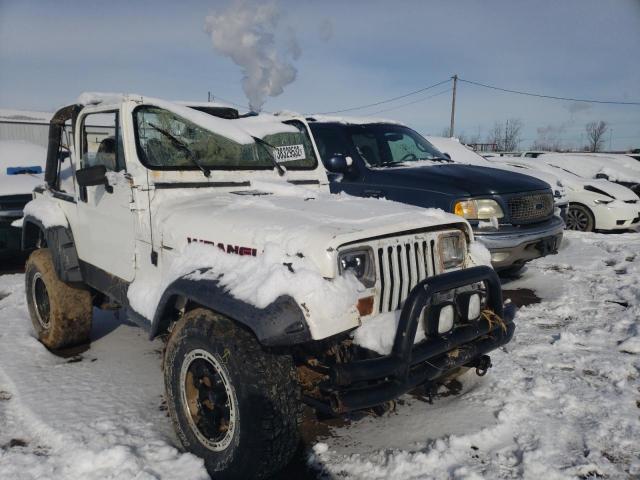 JEEP WRANGLER / 1993 1j4fy29s4pp218540