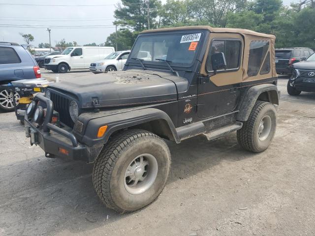 JEEP WRANGLER  1998 1j4fy49s1wp720805