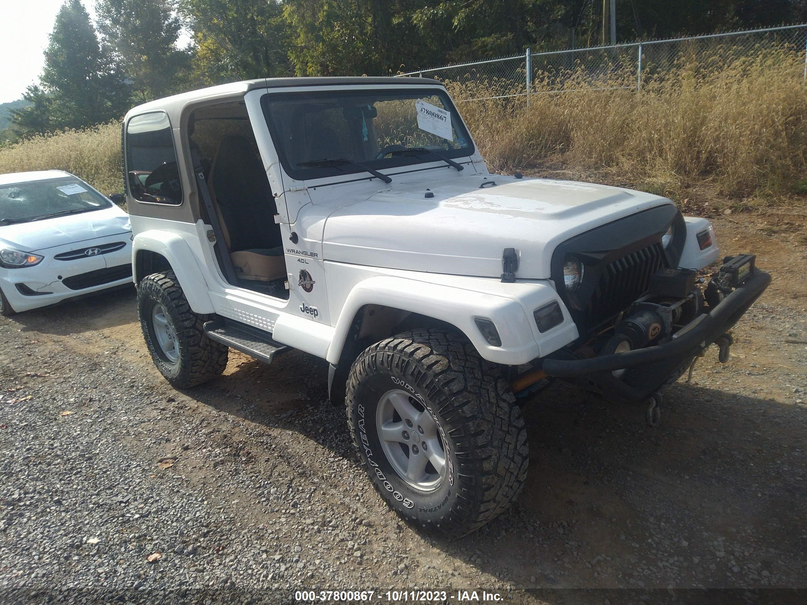 JEEP WRANGLER 1999 1j4fy49s7xp454854