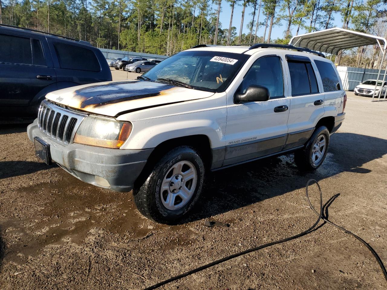 JEEP GRAND CHEROKEE 1999 1j4g258s6xc612038