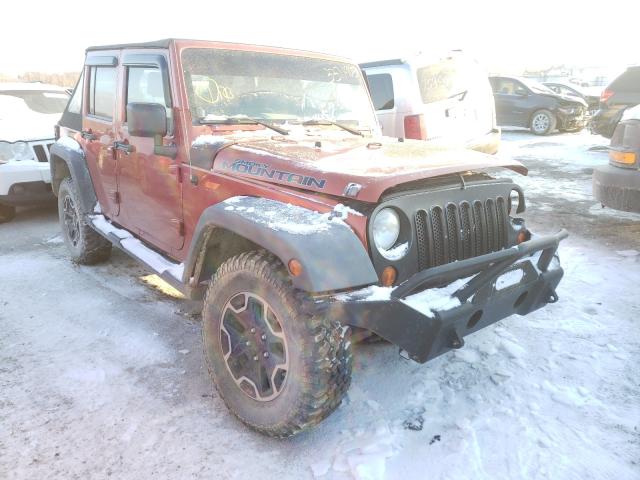 JEEP WRANGLER 2009 1j4ga39149l747101