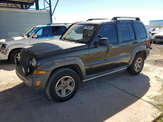 JEEP LIBERTY RE 2006 1j4gk38k36w148661