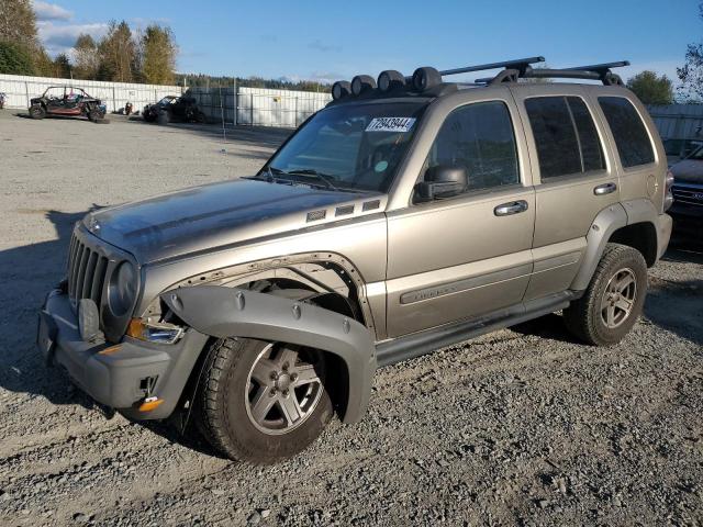 JEEP LIBERTY RE 2006 1j4gk38k46w189235