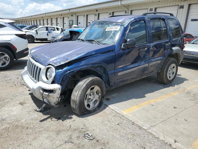 JEEP LIBERTY 2002 1j4gk48k02w168351