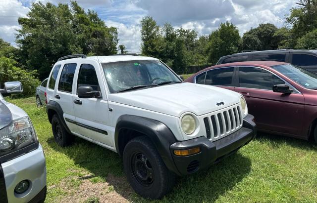 JEEP LIBERTY 2002 1j4gk48k02w310715