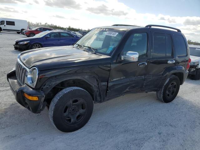 JEEP LIBERTY 2003 1j4gk48k03w665241