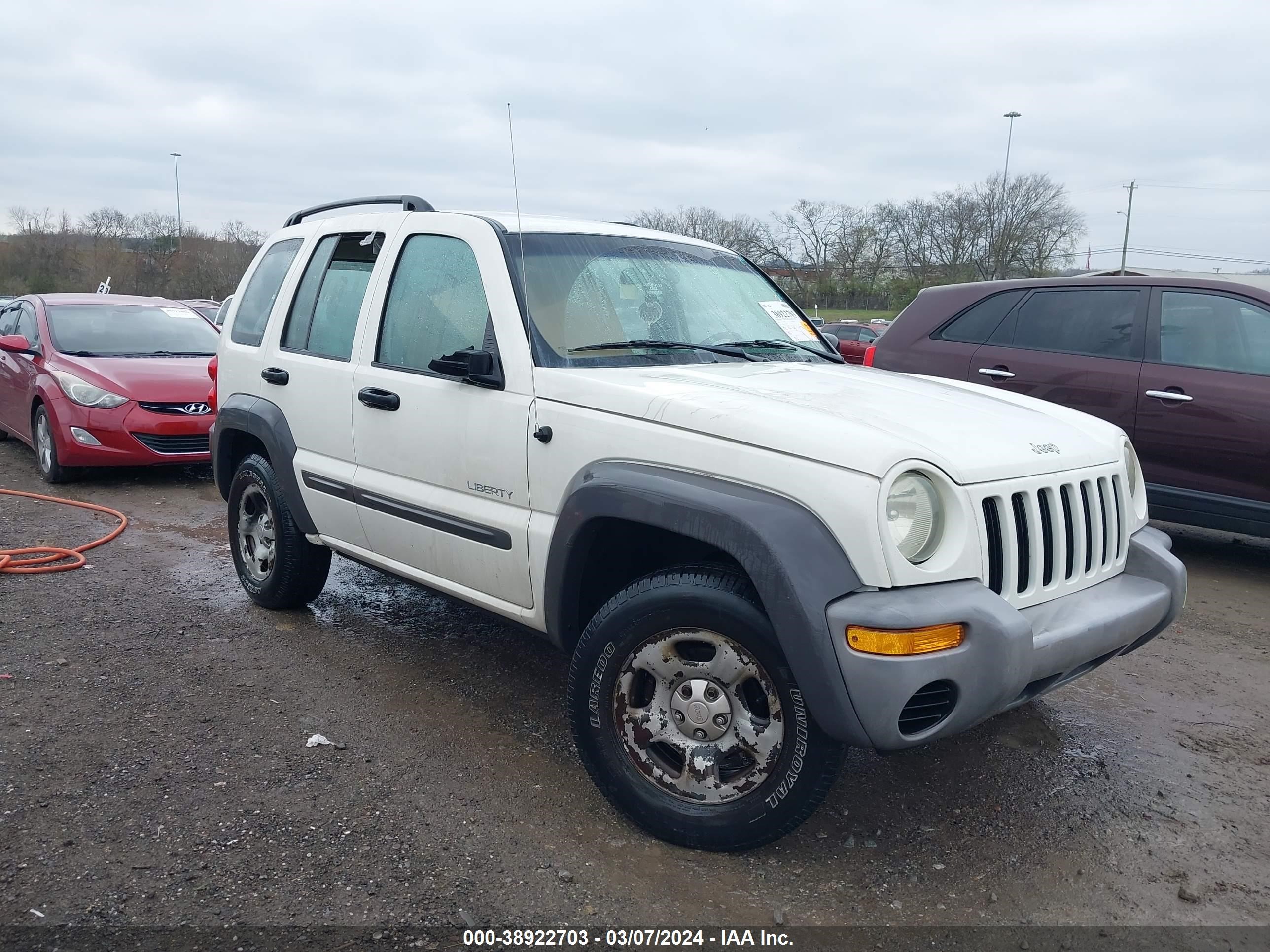 JEEP LIBERTY (NORTH AMERICA) 2004 1j4gk48k04w289917