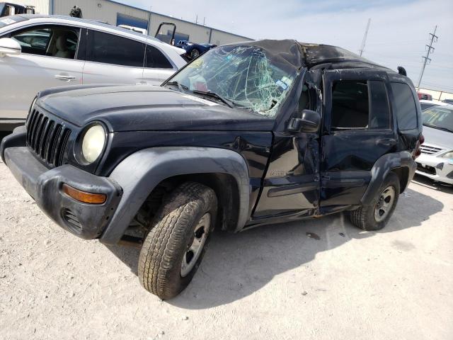 JEEP LIBERTY 2003 1j4gk48k13w651803