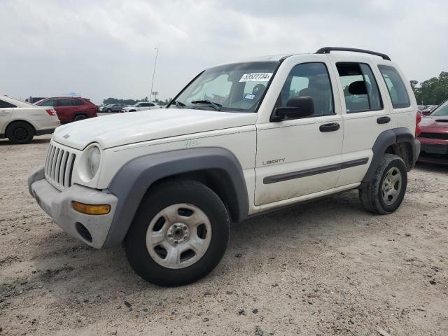 JEEP LIBERTY 2004 1j4gk48k14w311195