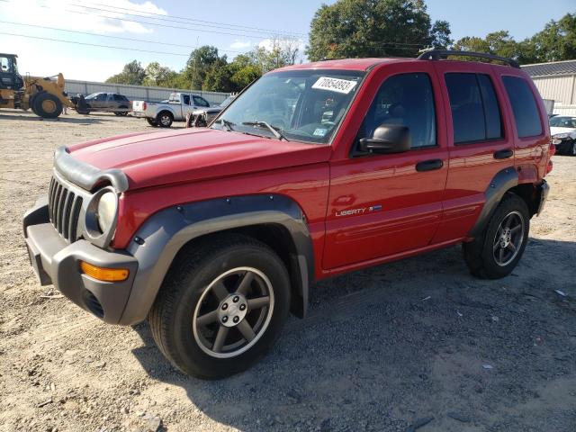 JEEP LIBERTY 2003 1j4gk48k23w665550