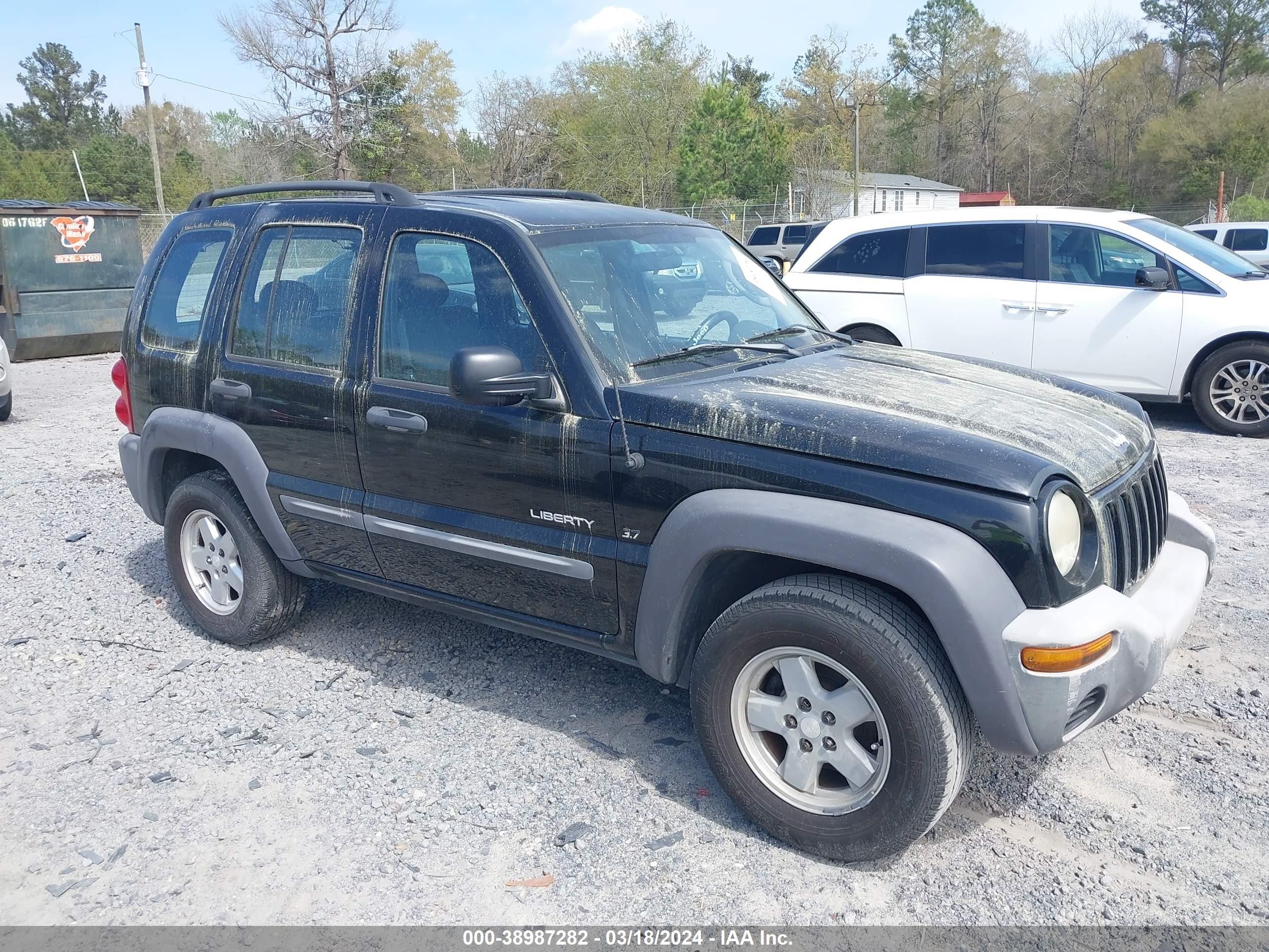 JEEP LIBERTY (NORTH AMERICA) 2004 1j4gk48k24w157189