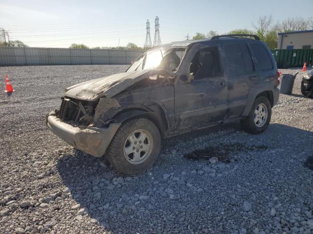 JEEP LIBERTY 2006 1j4gk48k36w144955