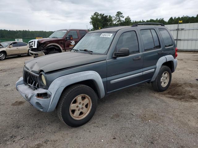 JEEP LIBERTY 2002 1j4gk48k42w162875