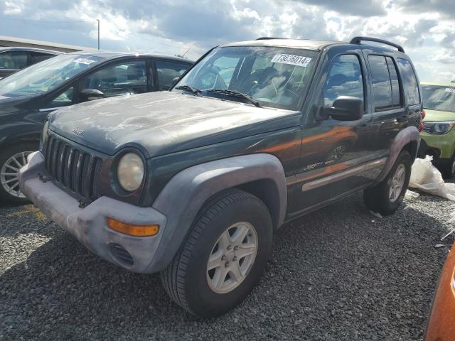 JEEP LIBERTY SP 2002 1j4gk48k42w306053