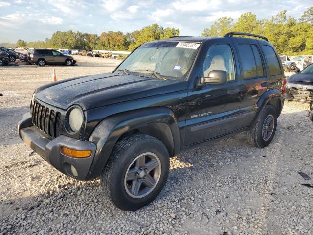 JEEP LIBERTY SP 2004 1j4gk48k44w173054