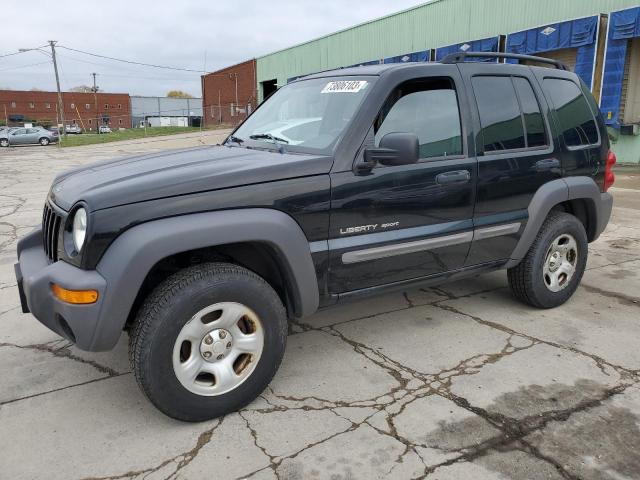 JEEP LIBERTY 2003 1j4gk48k63w503985