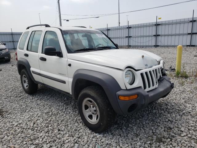 JEEP LIBERTY 2004 1j4gk48k64w226644