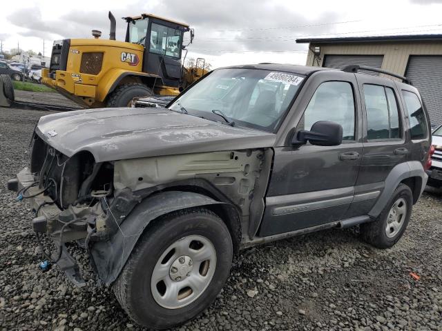 JEEP LIBERTY 2005 1j4gk48k65w506002