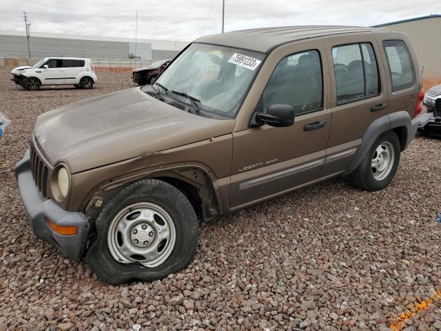 JEEP LIBERTY 2002 1j4gk48k72w220378