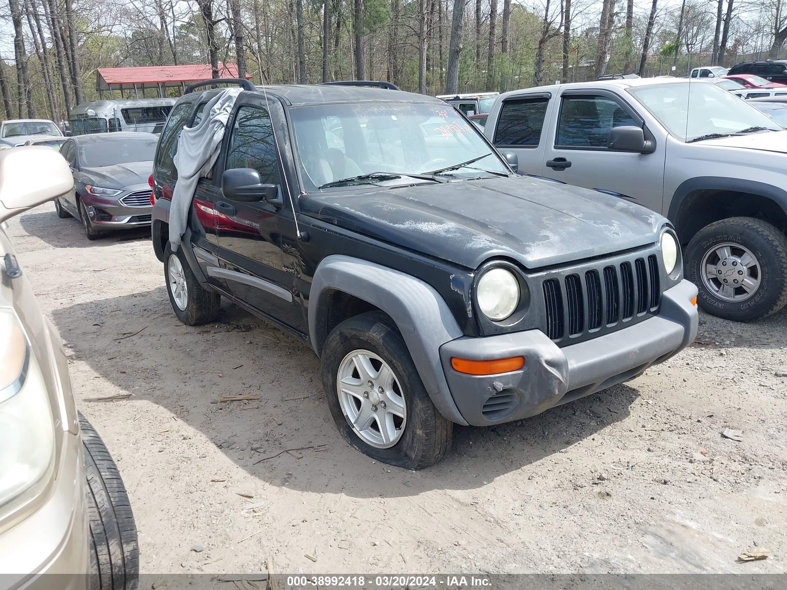 JEEP LIBERTY (NORTH AMERICA) 2002 1j4gk48k72w351844