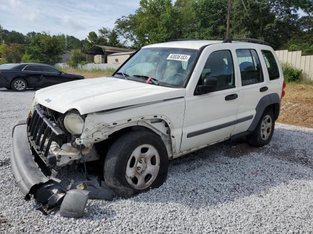 JEEP LIBERTY 2005 1j4gk48k85w665331