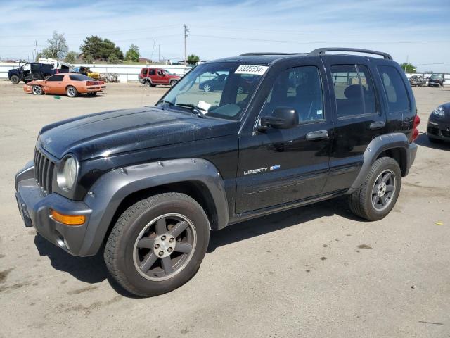 JEEP LIBERTY 2003 1j4gk48k93w677775