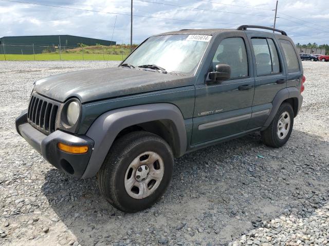 JEEP LIBERTY 2003 1j4gk48kx3w611915