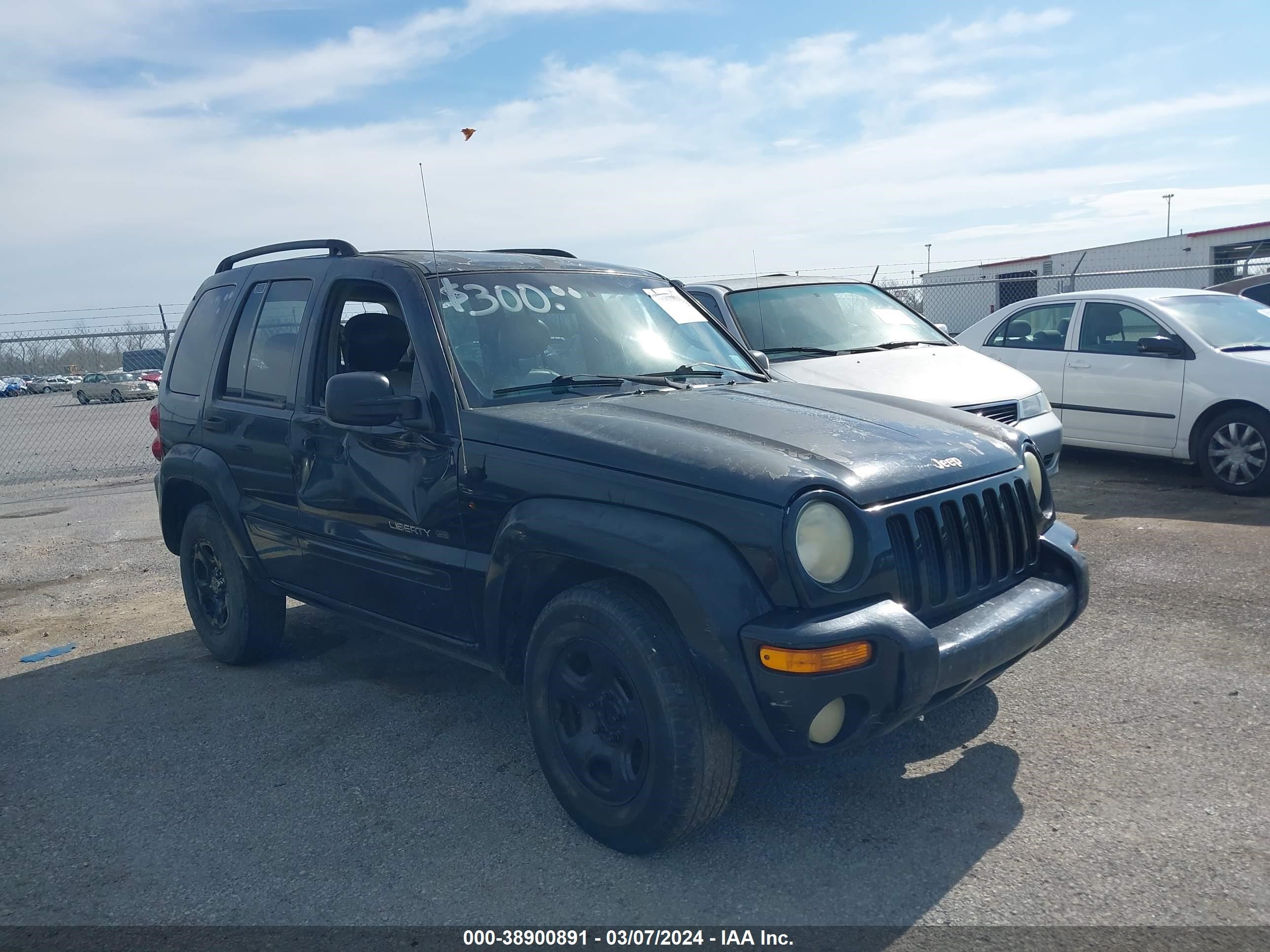 JEEP LIBERTY (NORTH AMERICA) 2002 1j4gk58k02w351738