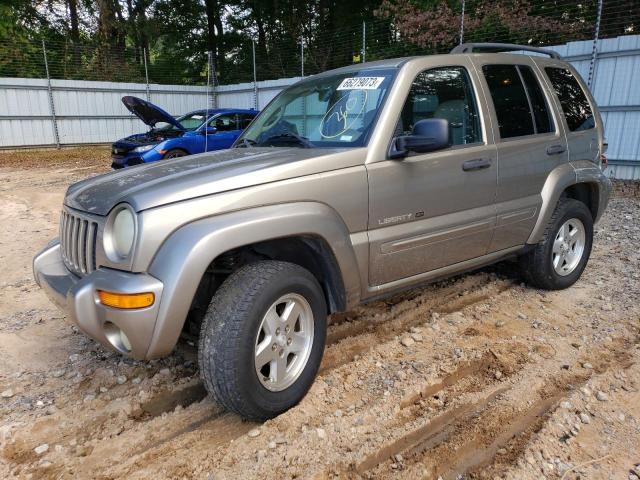 JEEP LIBERTY 2003 1j4gk58k03w507004