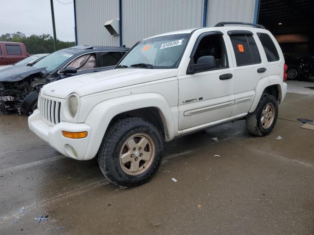 JEEP LIBERTY 2003 1j4gk58k03w698438