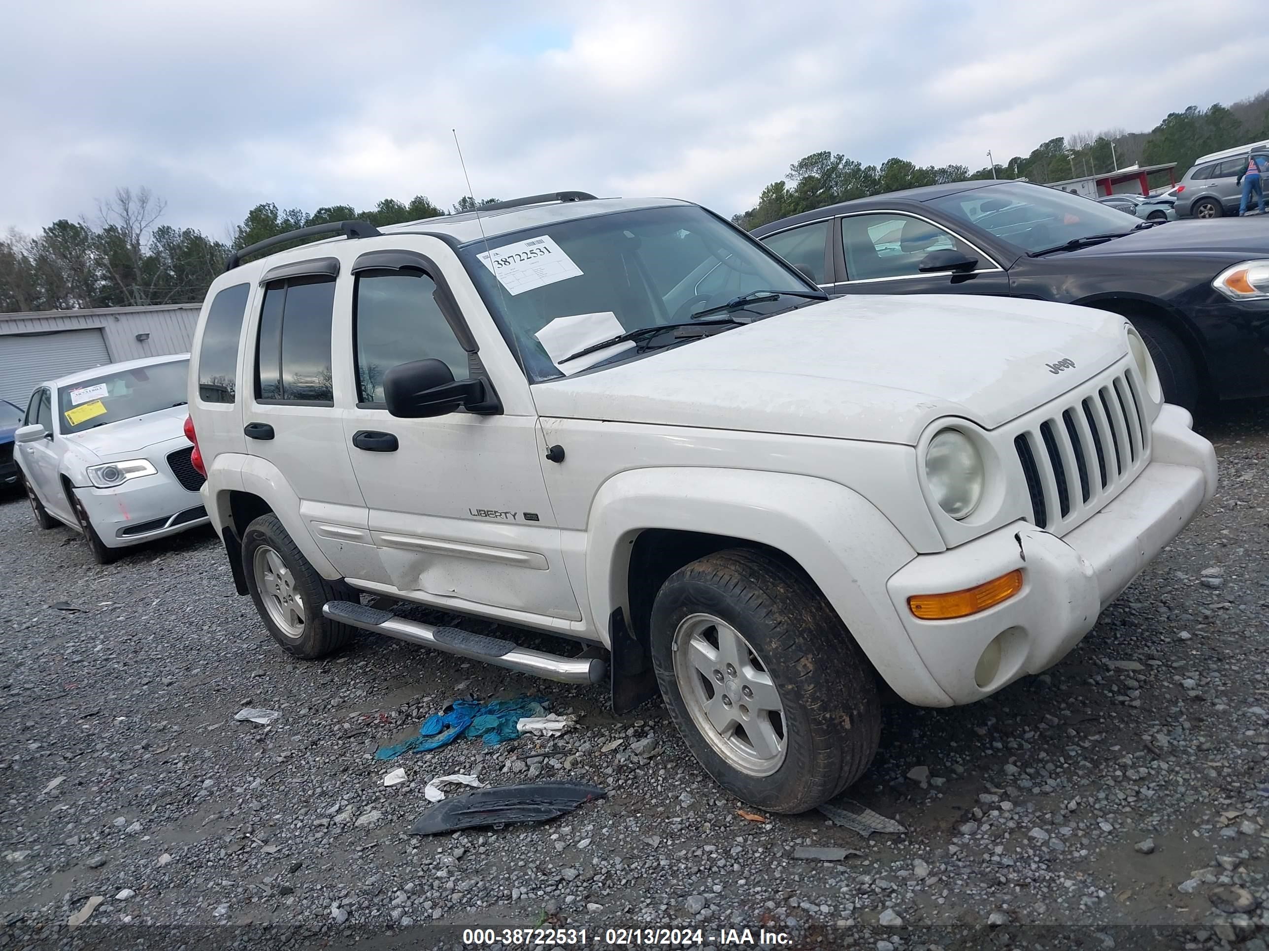 JEEP LIBERTY (NORTH AMERICA) 2003 1j4gk58k13w504225