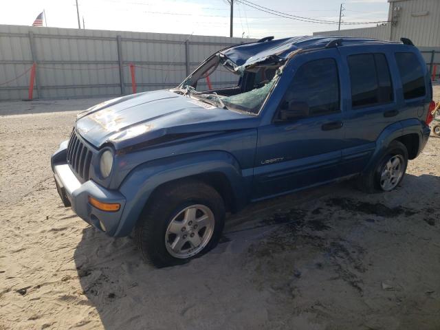 JEEP LIBERTY 2003 1j4gk58k23w580276