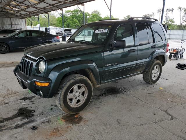 JEEP LIBERTY 2002 1j4gk58k32w181892