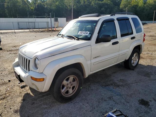 JEEP LIBERTY LI 2004 1j4gk58k34w143131