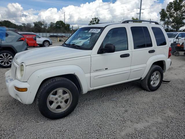 JEEP LIBERTY 2002 1j4gk58k42w108126