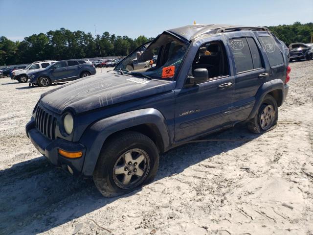 JEEP LIBERTY 2002 1j4gk58k42w158203